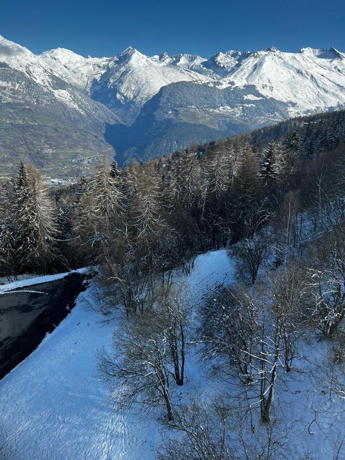 Arc 1600 * Les Arcs (Savoie)